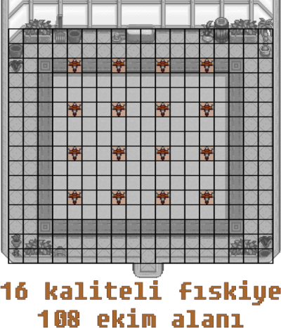 Stardew Valley sera düzeni